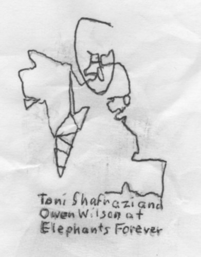 gates of heaven (1978)