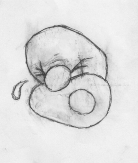 title: "an illusory correlation" 