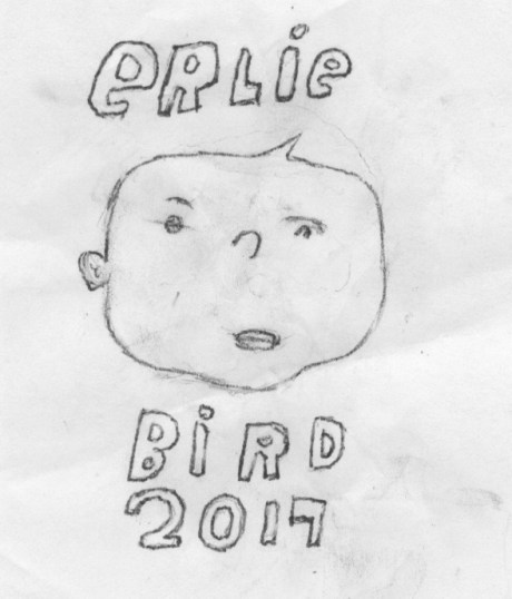 some say bird others say magic